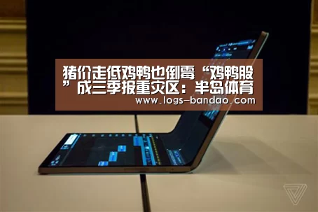 猪价走低鸡鸭也倒霉“鸡鸭股”成三季报重灾区:半岛体育app(图1) 半岛体育app