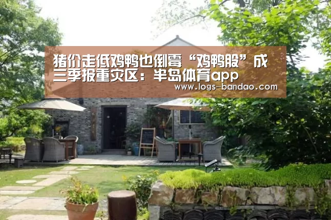 猪价走低鸡鸭也倒霉“鸡鸭股”成三季报重灾区:半岛体育app(图3) 半岛体育